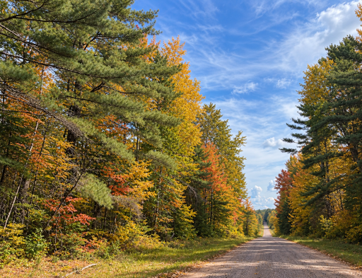 Lot 1 Smith Road N, Couderay, WI 54828