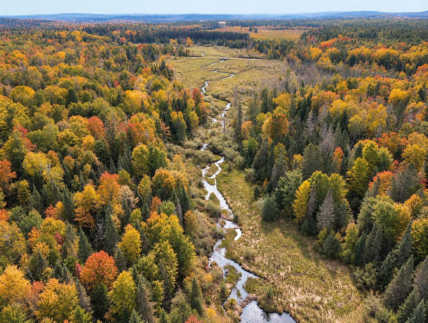 Devils Creek forms the Southern Border of the property