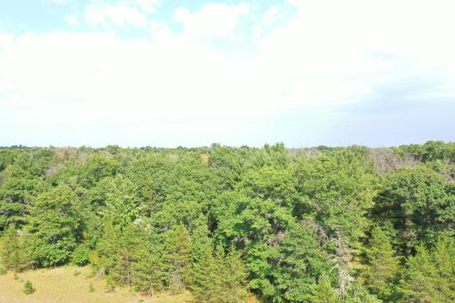 DJI_0049 (2).JPG