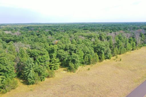 DJI_0053 (1).JPG