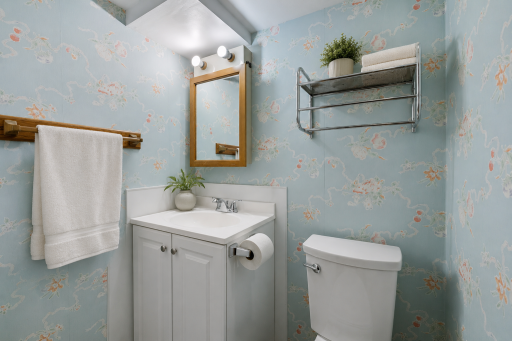 Lower level bathroom