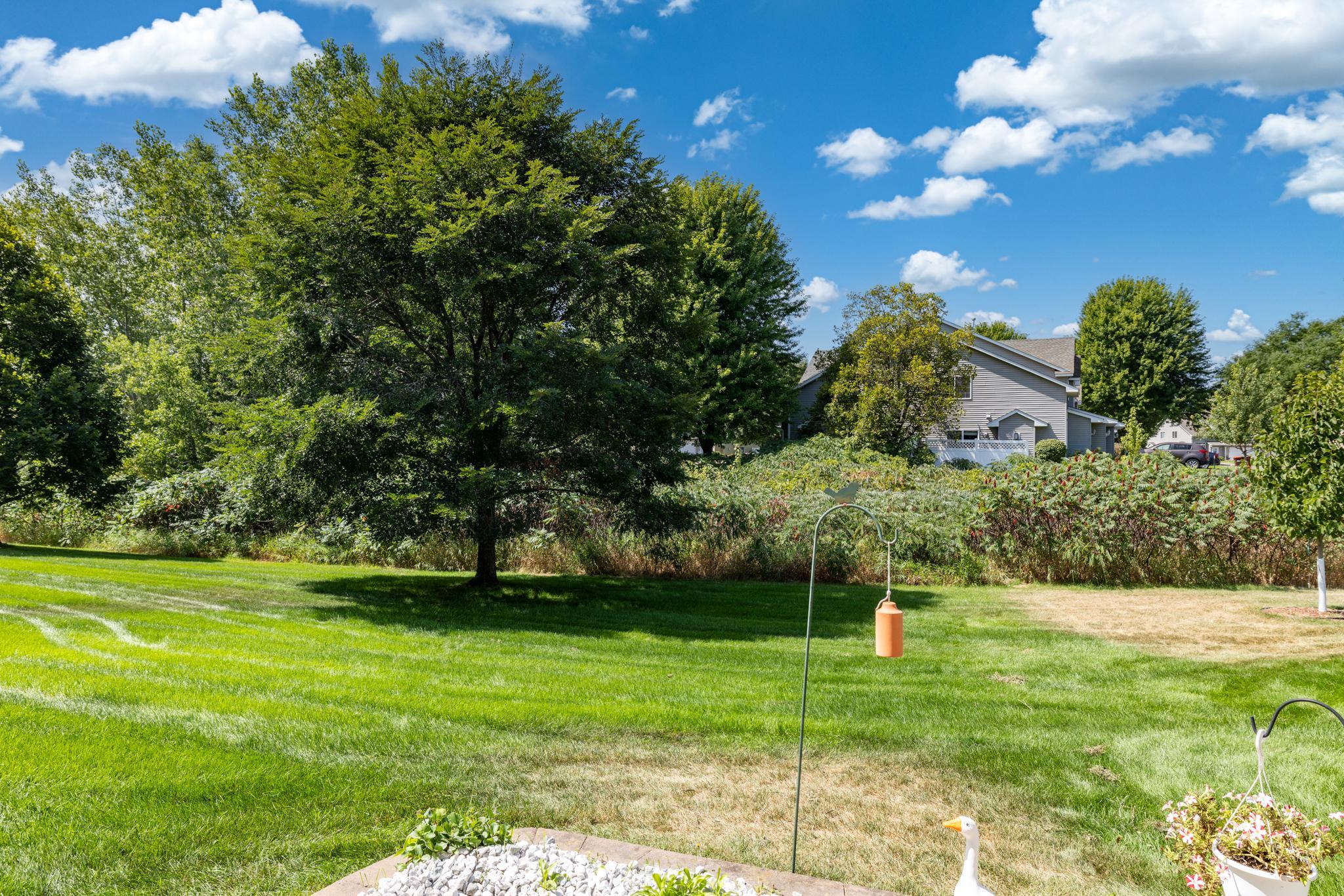 Patio View/Backyard