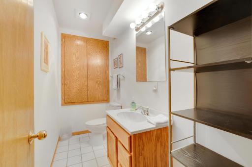 Lower level bathroom