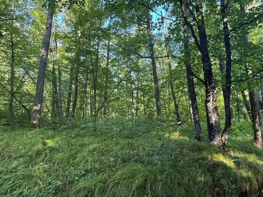 2243 310th Avenue, Mora, MN 55051