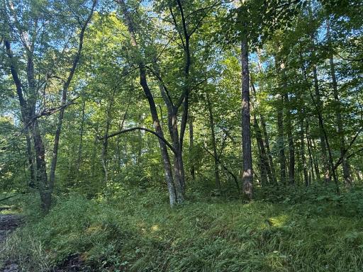 2243 310th Avenue, Mora, MN 55051