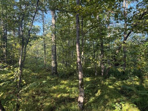 2243 310th Avenue, Mora, MN 55051