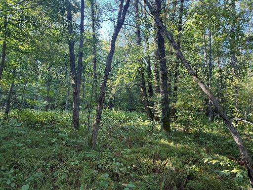 2243 310th Avenue, Mora, MN 55051
