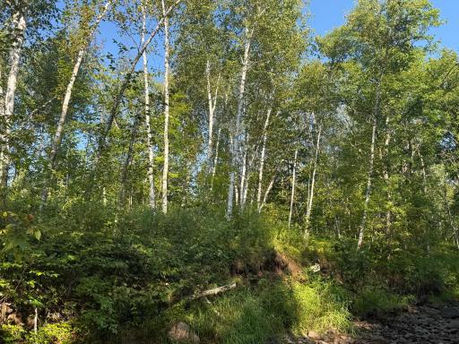 2243 310th Avenue, Mora, MN 55051