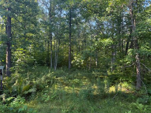 2243 310th Avenue, Mora, MN 55051