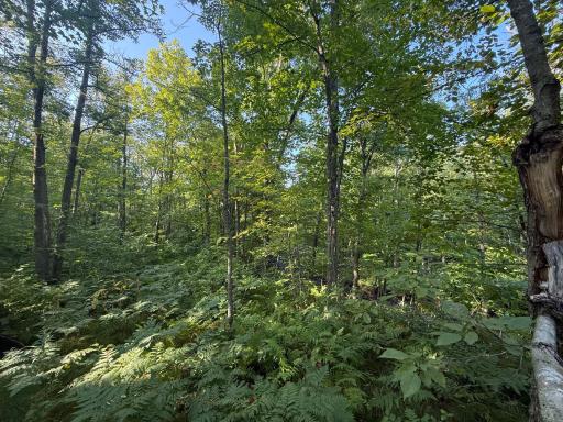 2243 310th Avenue, Mora, MN 55051