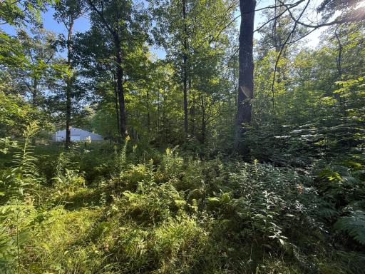 2243 310th Avenue, Mora, MN 55051