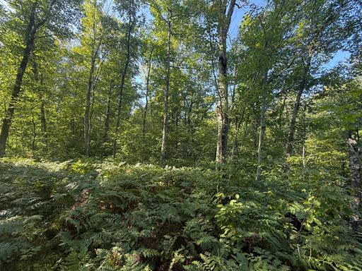 2243 310th Avenue, Mora, MN 55051
