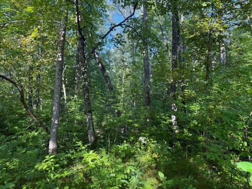 2243 310th Avenue, Mora, MN 55051