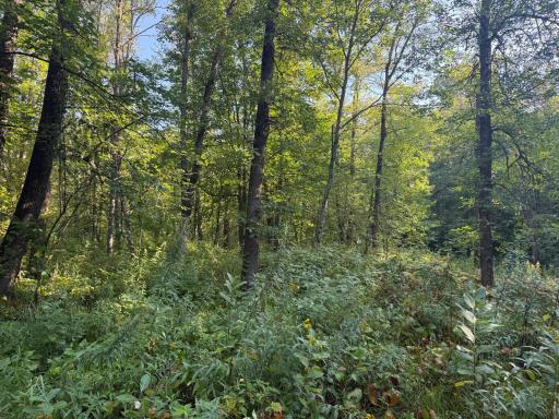 2243 310th Avenue, Mora, MN 55051