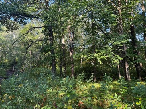 2243 310th Avenue, Mora, MN 55051