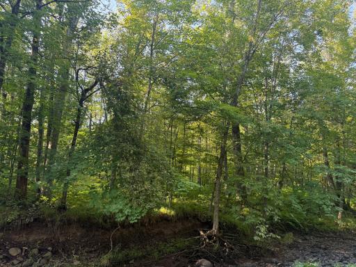 2243 310th Avenue, Mora, MN 55051
