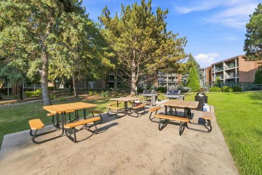 Outdoor picnic area featuring wood picnic tables and community grilling stations.