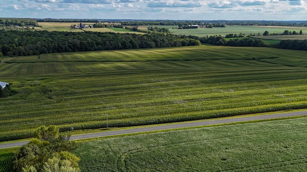 dji_fly_20260816_171812_0778_1786982135999_photo.jpg