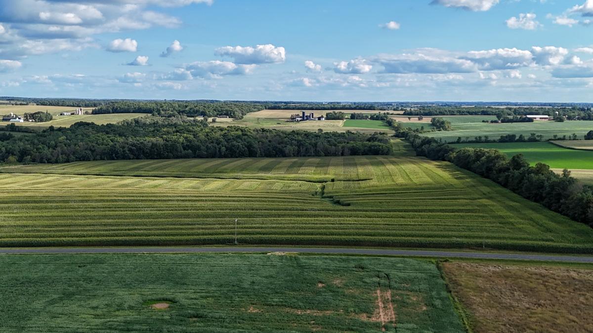 dji_fly_20260816_171850_0779_1786982135755_photo.jpg