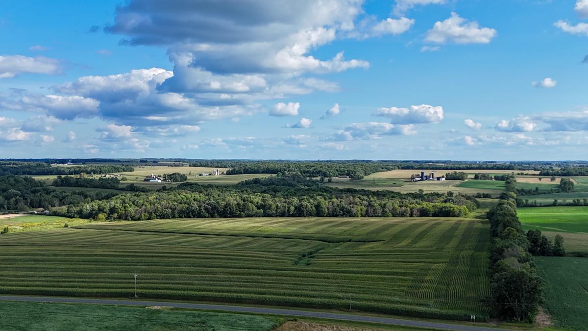 dji_fly_20260816_171930_0782_1786982135176_photo.jpg