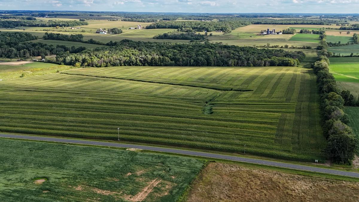 dji_fly_20260816_171916_0781_1786982135372_photo.jpg