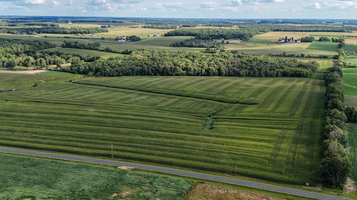 dji_fly_20260816_171958_0784_1786982134832_photo.jpg