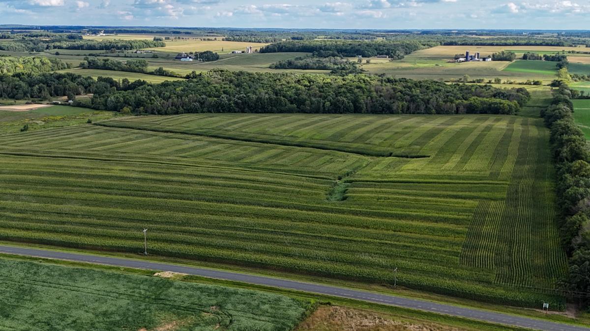dji_fly_20260816_172018_0785_1786982134625_photo.jpg