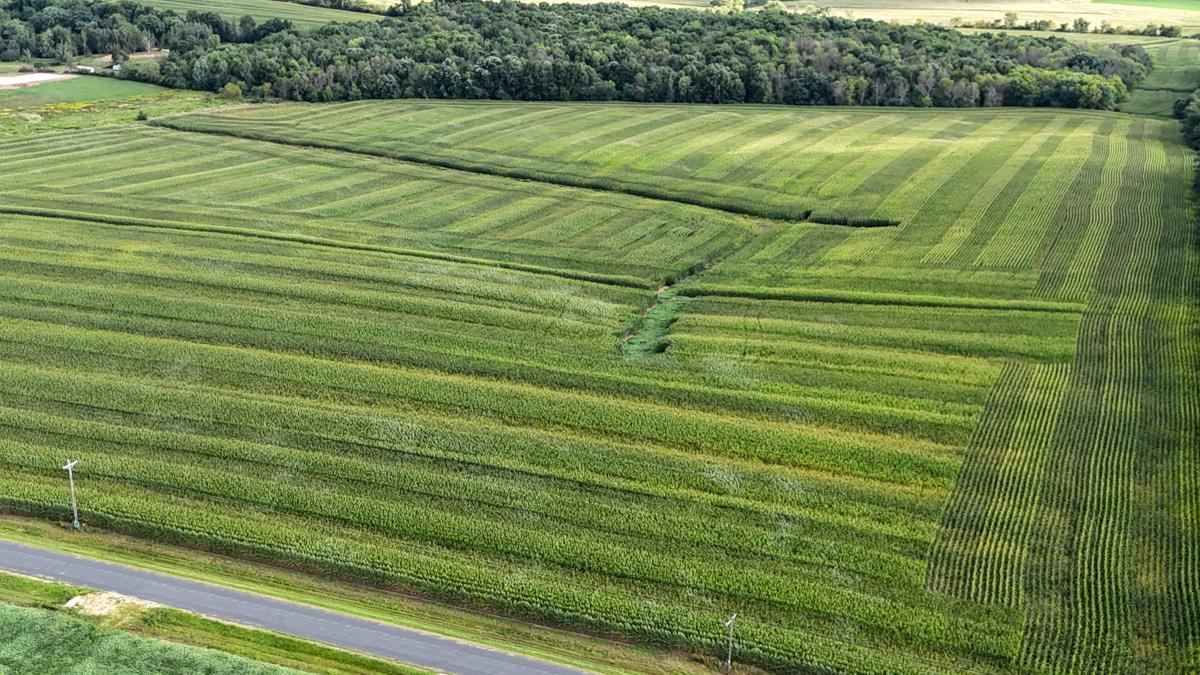 dji_fly_20260816_172042_0786_1786982134410_photo.jpg