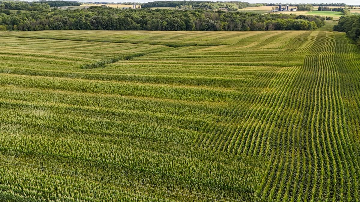 dji_fly_20260816_172058_0787_1786982134164_photo.jpg