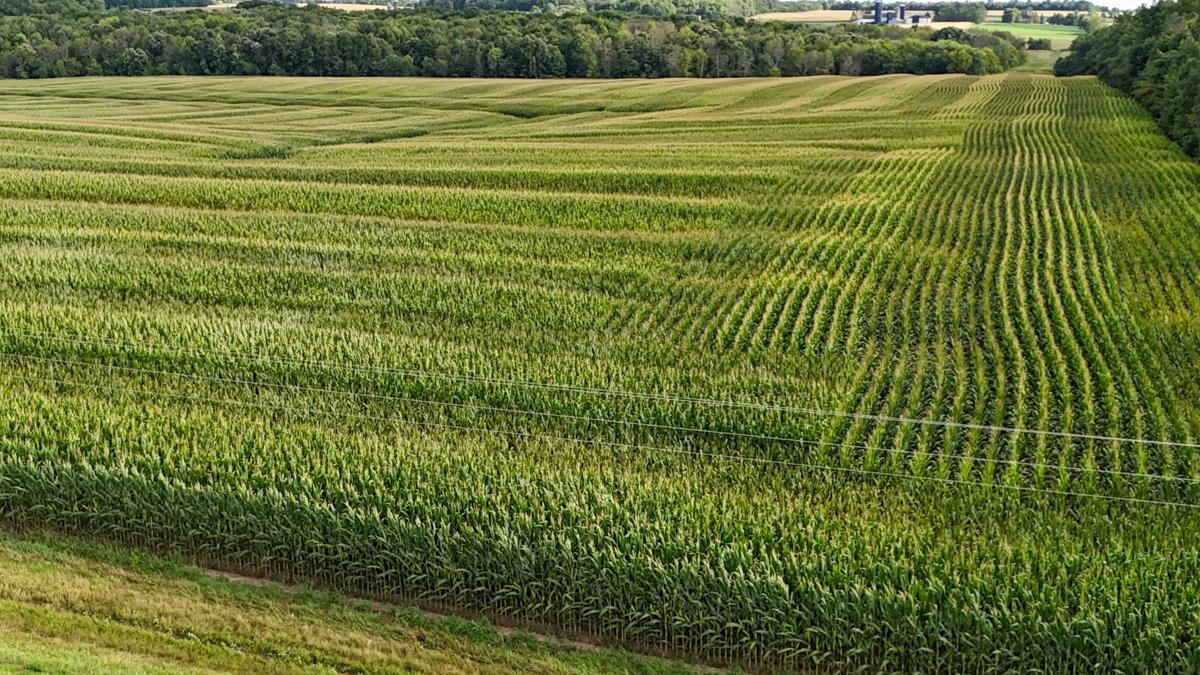 dji_fly_20260816_172110_0788_1786982133901_photo.jpg