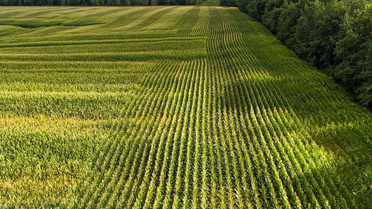 dji_fly_20260816_172144_0789_1786982133651_photo.jpg