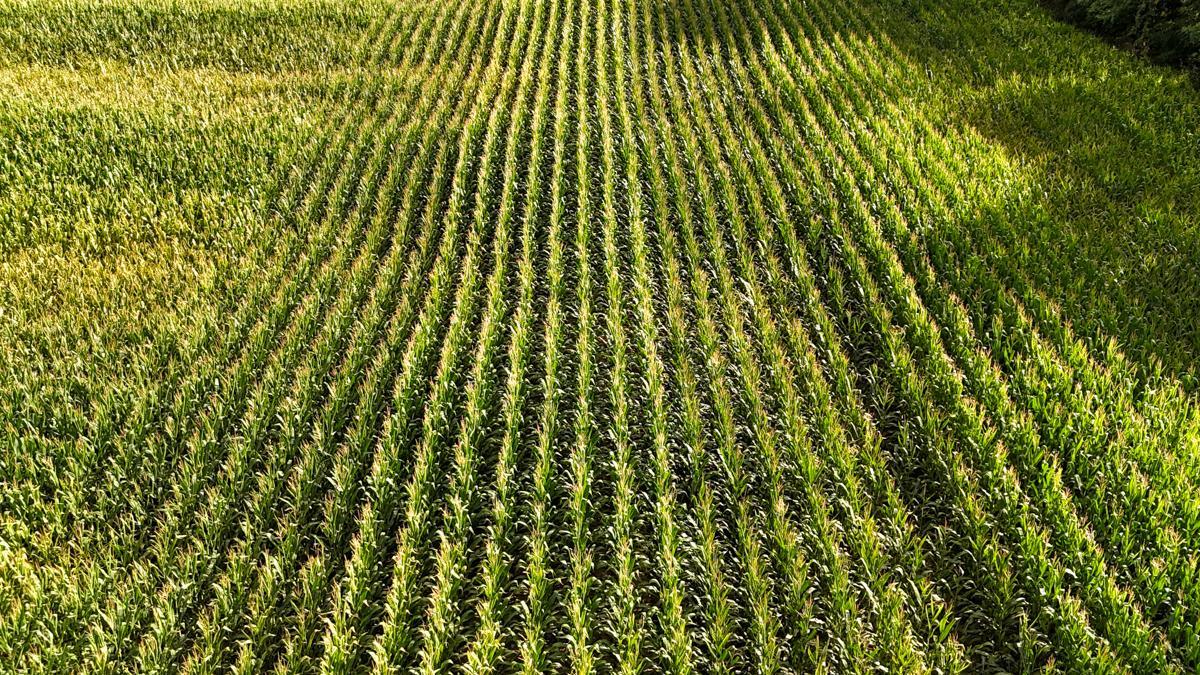 dji_fly_20260816_172334_0792_1786982132440_photo.jpg