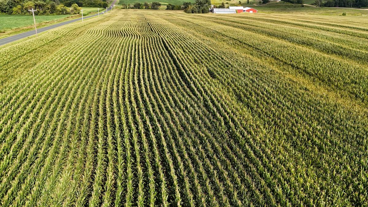 dji_fly_20260816_172342_0793_1786982131813_photo.jpg