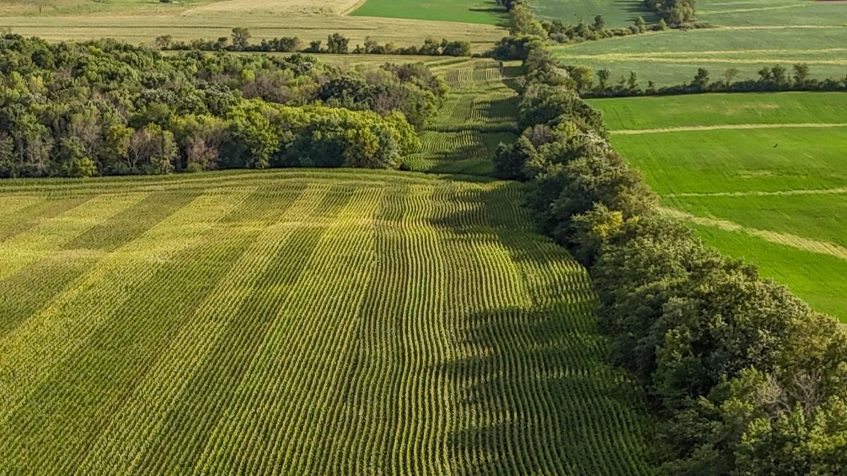 dji_fly_20260816_172620_0796_1786982045436_photo.jpg