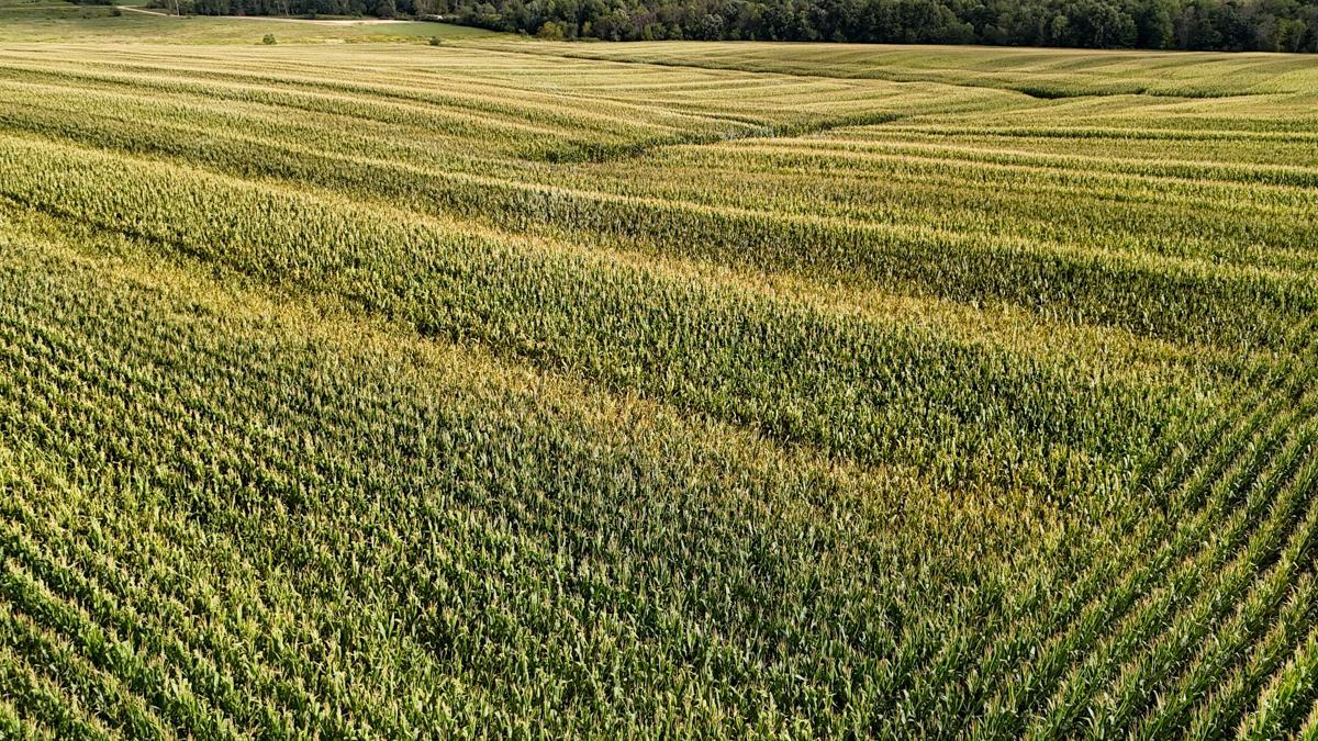 dji_fly_20260816_172344_0794_1786982131232_photo.jpg
