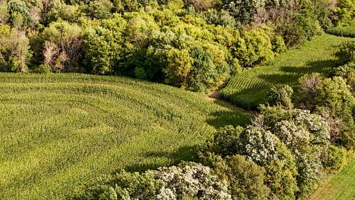 dji_fly_20260816_172650_0797_1786982045240_photo.jpg