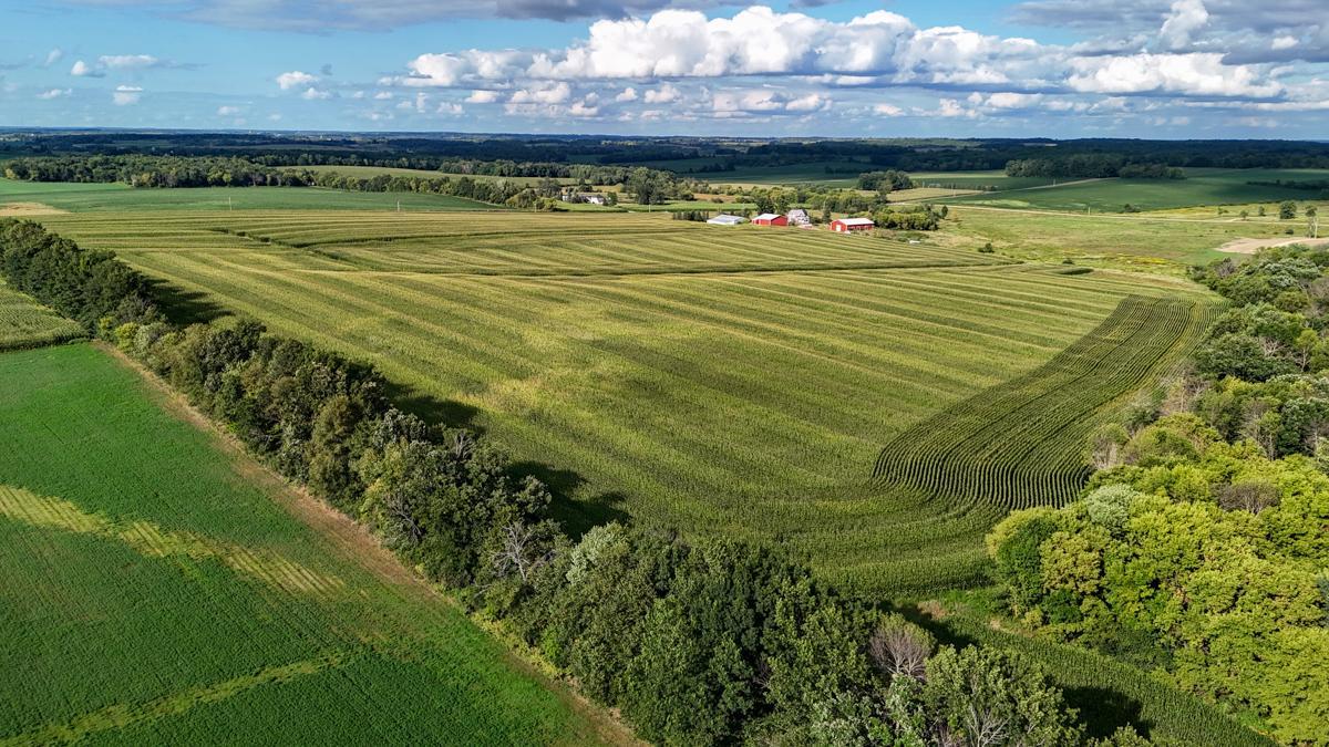 dji_fly_20260816_172732_0799_1786982044713_photo.jpg
