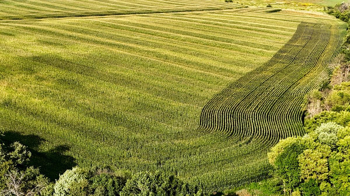 dji_fly_20260816_172724_0798_1786982044992_photo.jpg