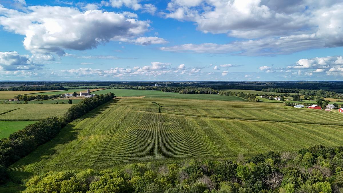 dji_fly_20260816_172802_0801_1786982044072_photo.jpg