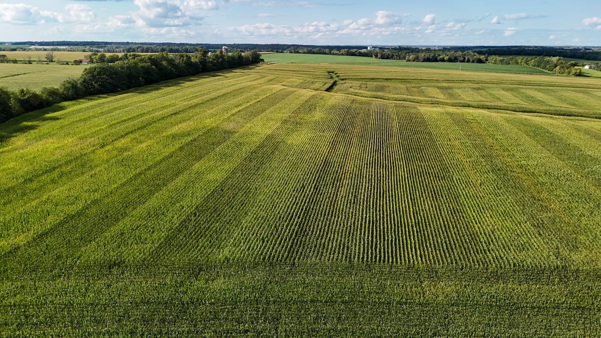 dji_fly_20260816_172830_0802_1786982043774_photo.jpg