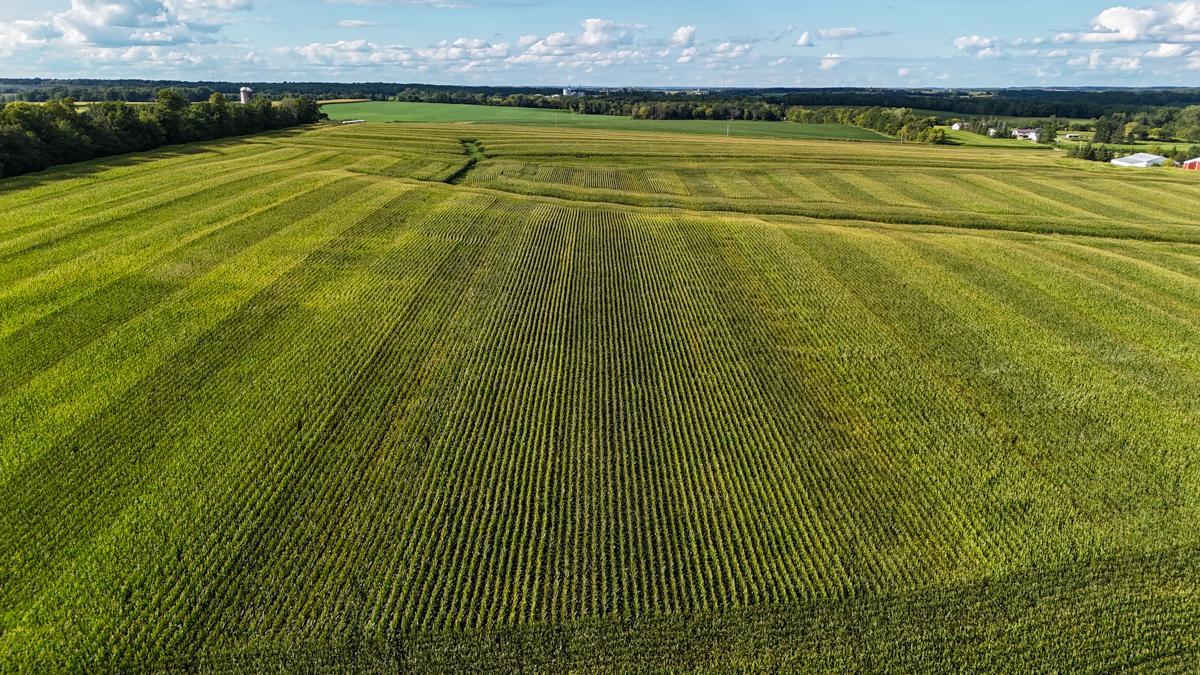 dji_fly_20260816_172840_0803_1786982043405_photo.jpg