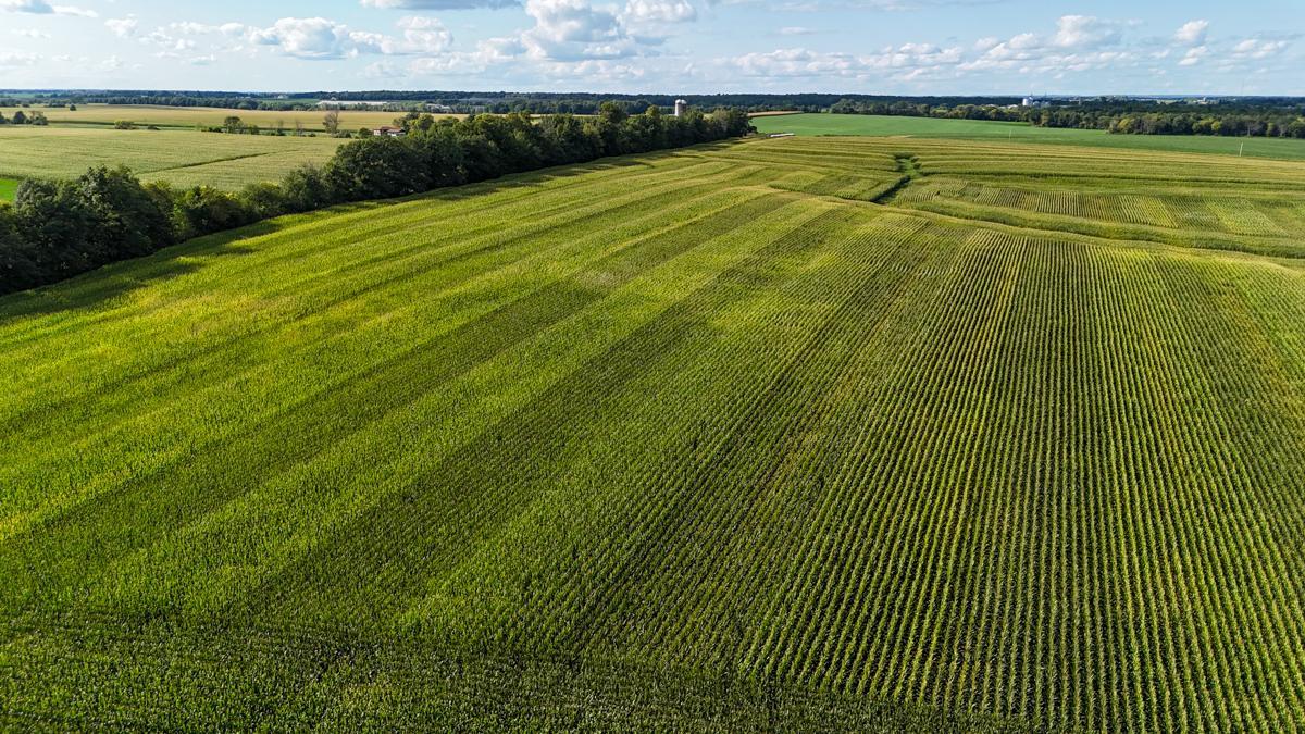 dji_fly_20260816_172842_0804_1786982042993_photo.jpg