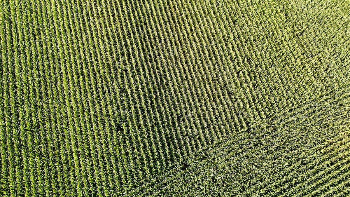 dji_fly_20260816_172906_0805_1786982042610_photo.jpg
