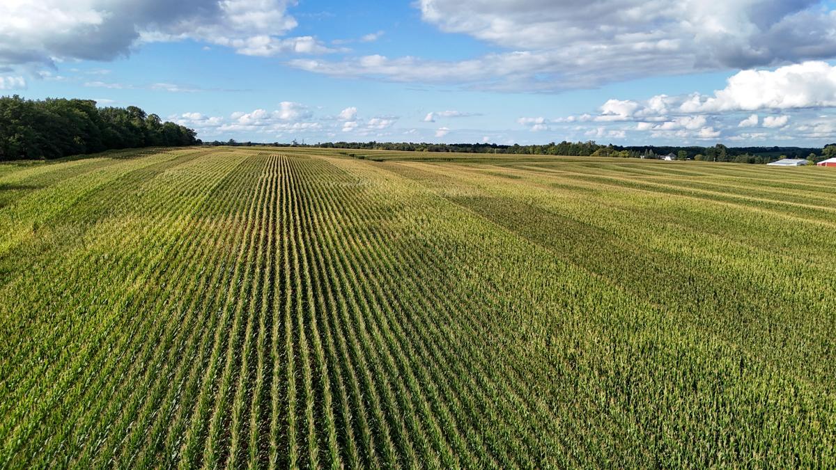 dji_fly_20260816_172930_0806_1786982042089_photo.jpg