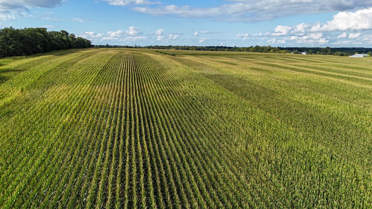dji_fly_20260816_172938_0807_1786982041710_photo.jpg
