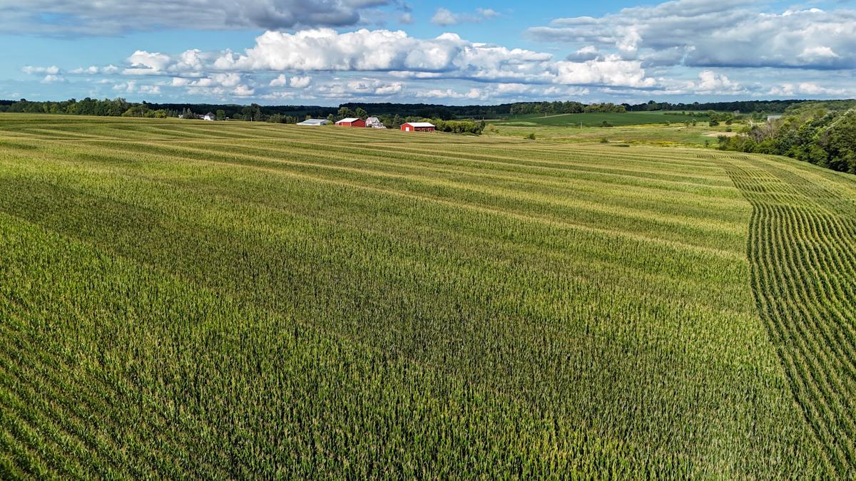 dji_fly_20260816_172942_0808_1786982041355_photo.jpg