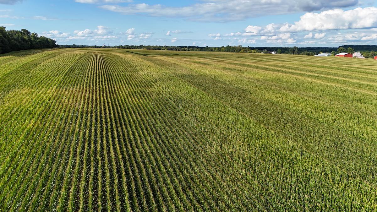 dji_fly_20260816_172948_0809_1786982040982_photo.jpg