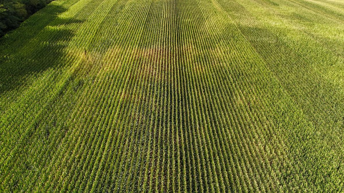 dji_fly_20260816_172956_0810_1786982040618_photo.jpg