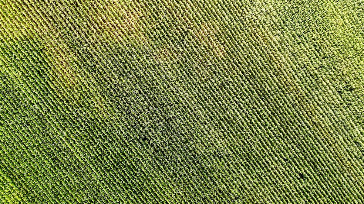dji_fly_20260816_173022_0811_1786982040180_photo.jpg