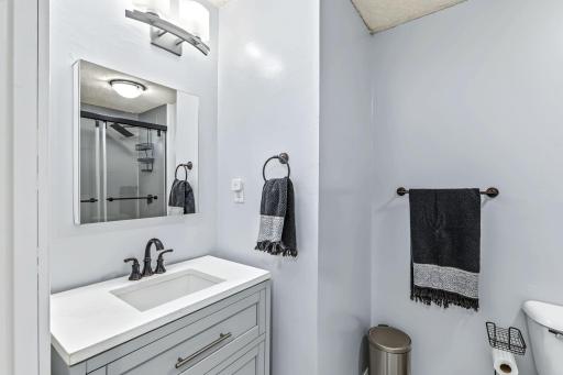 Lower Level Bathroom